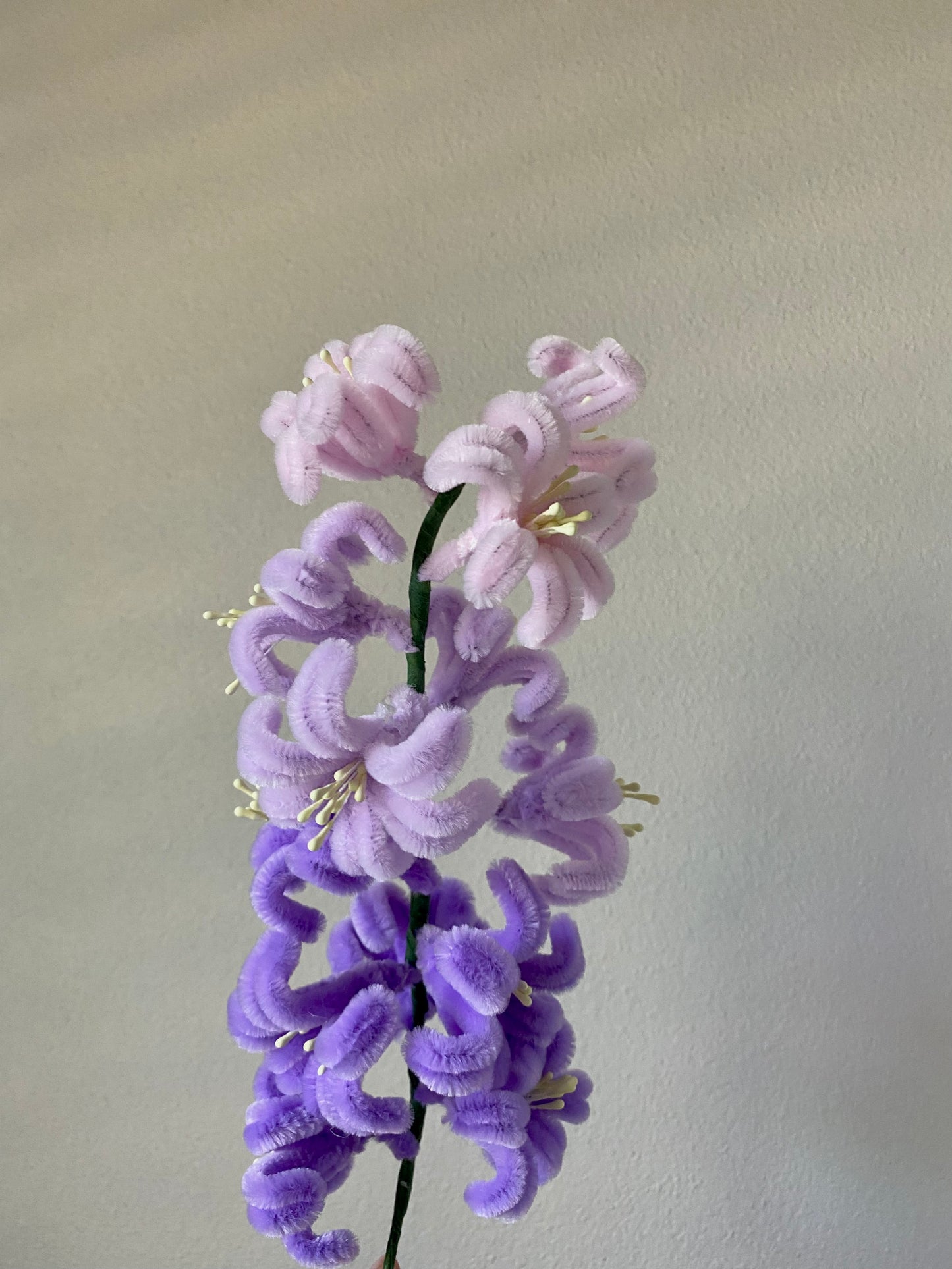 Single Stem Hyacinth Pipe Cleaner Flower!