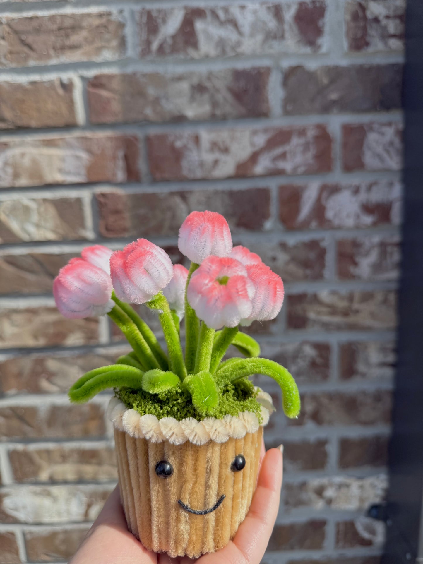 Tulip Mini Pot