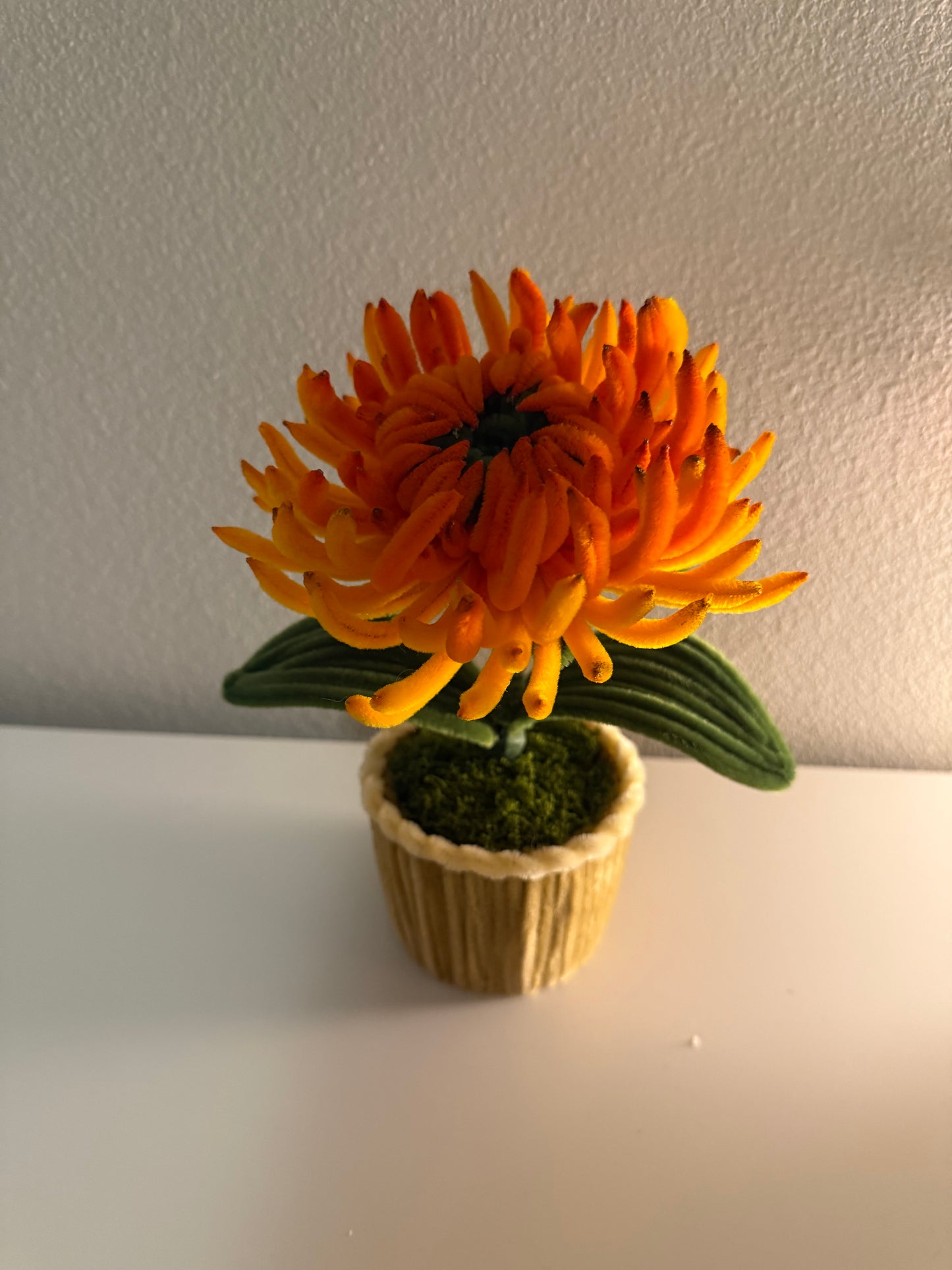 Orange Chrysanthemum Mini Pot