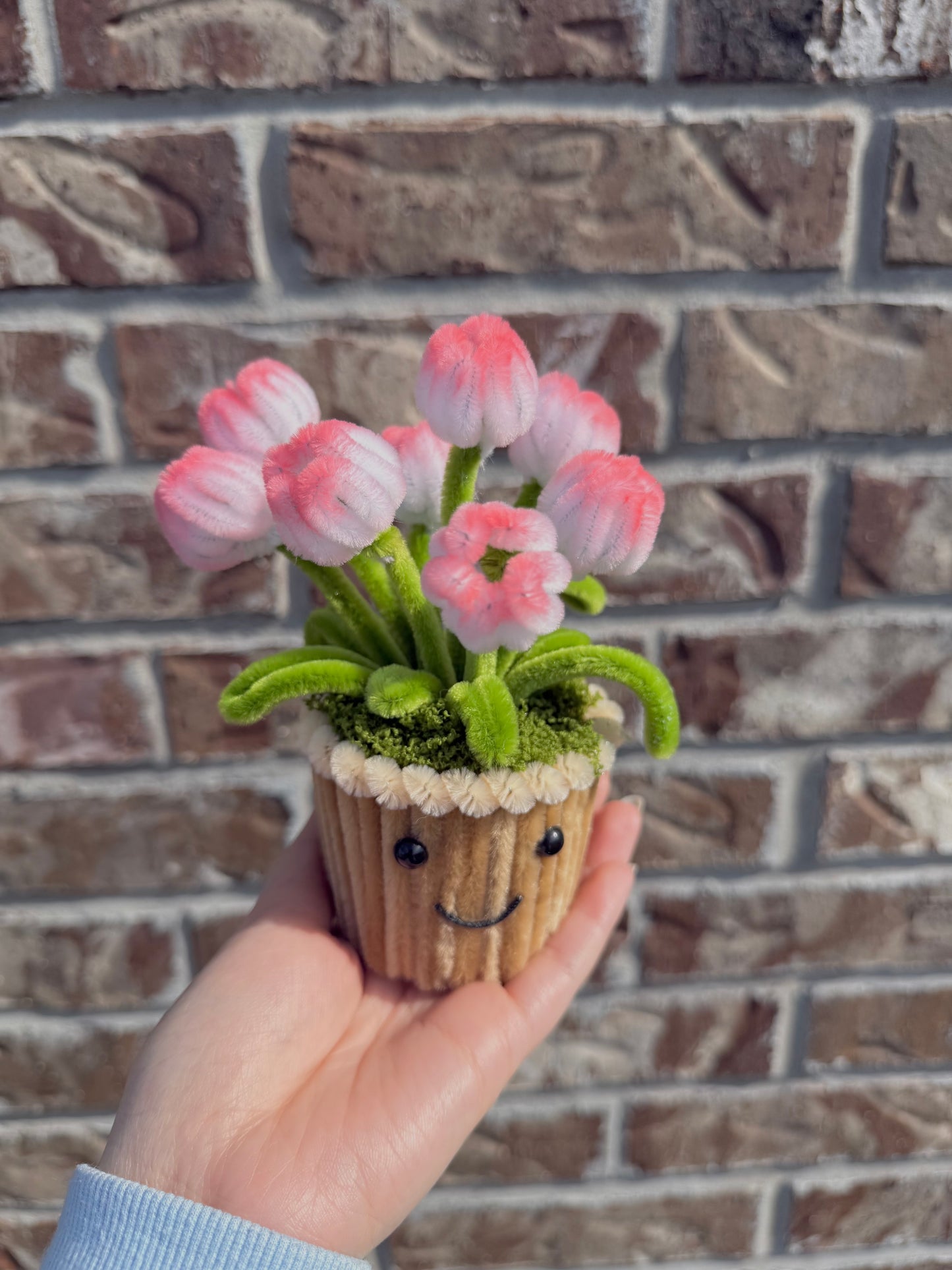 Tulip Mini Pot