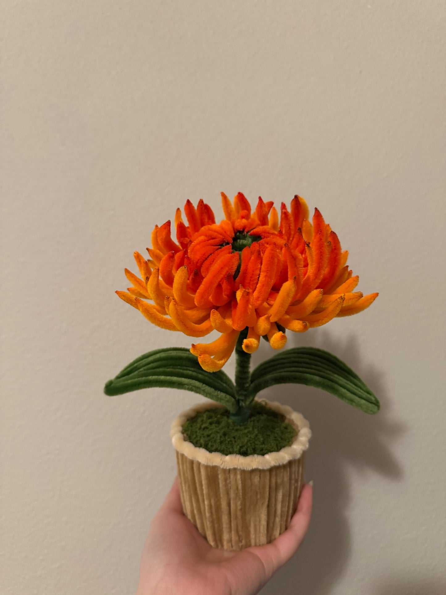 Orange Chrysanthemum Mini Pot