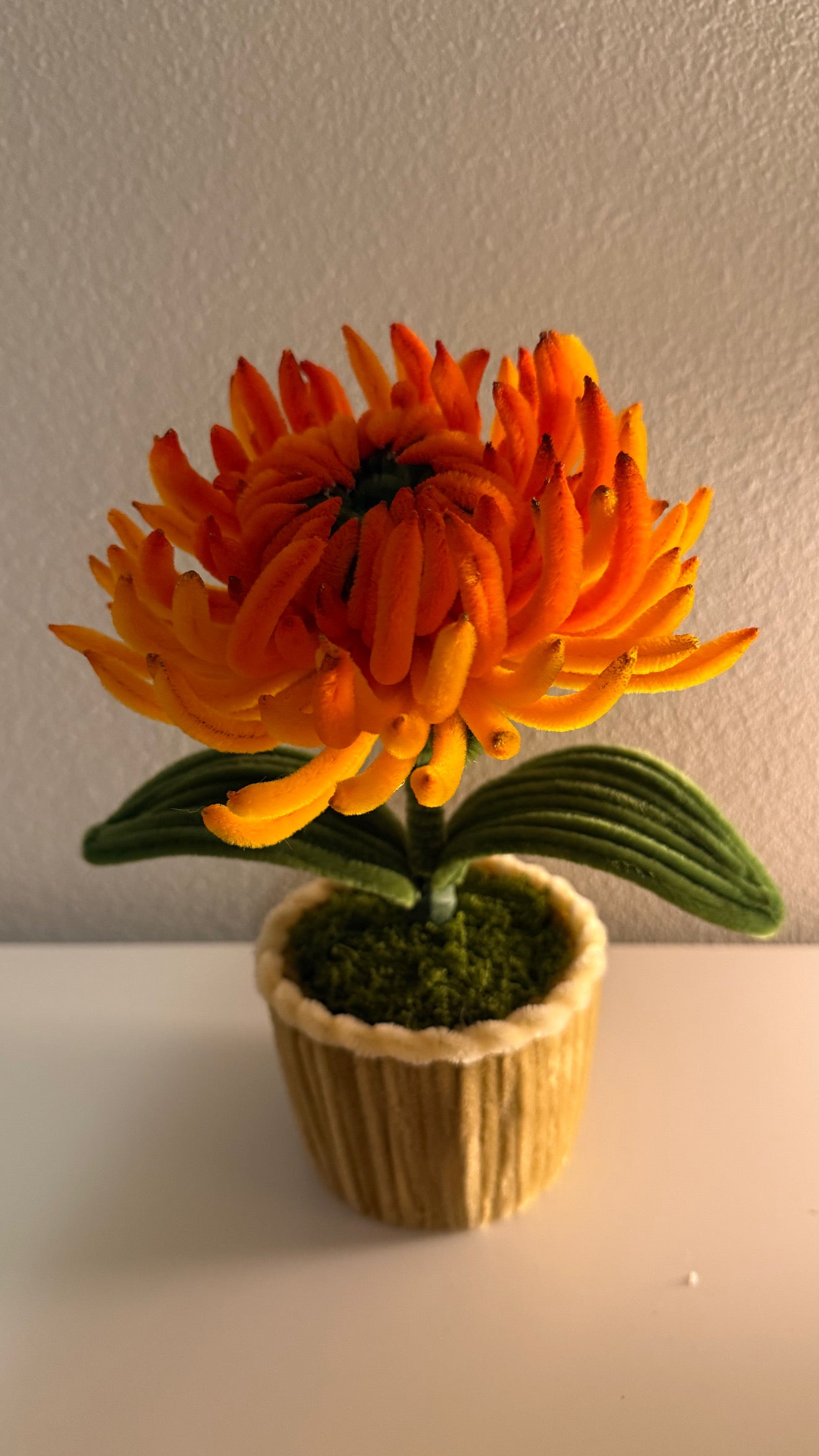 Orange Chrysanthemum Mini Pot