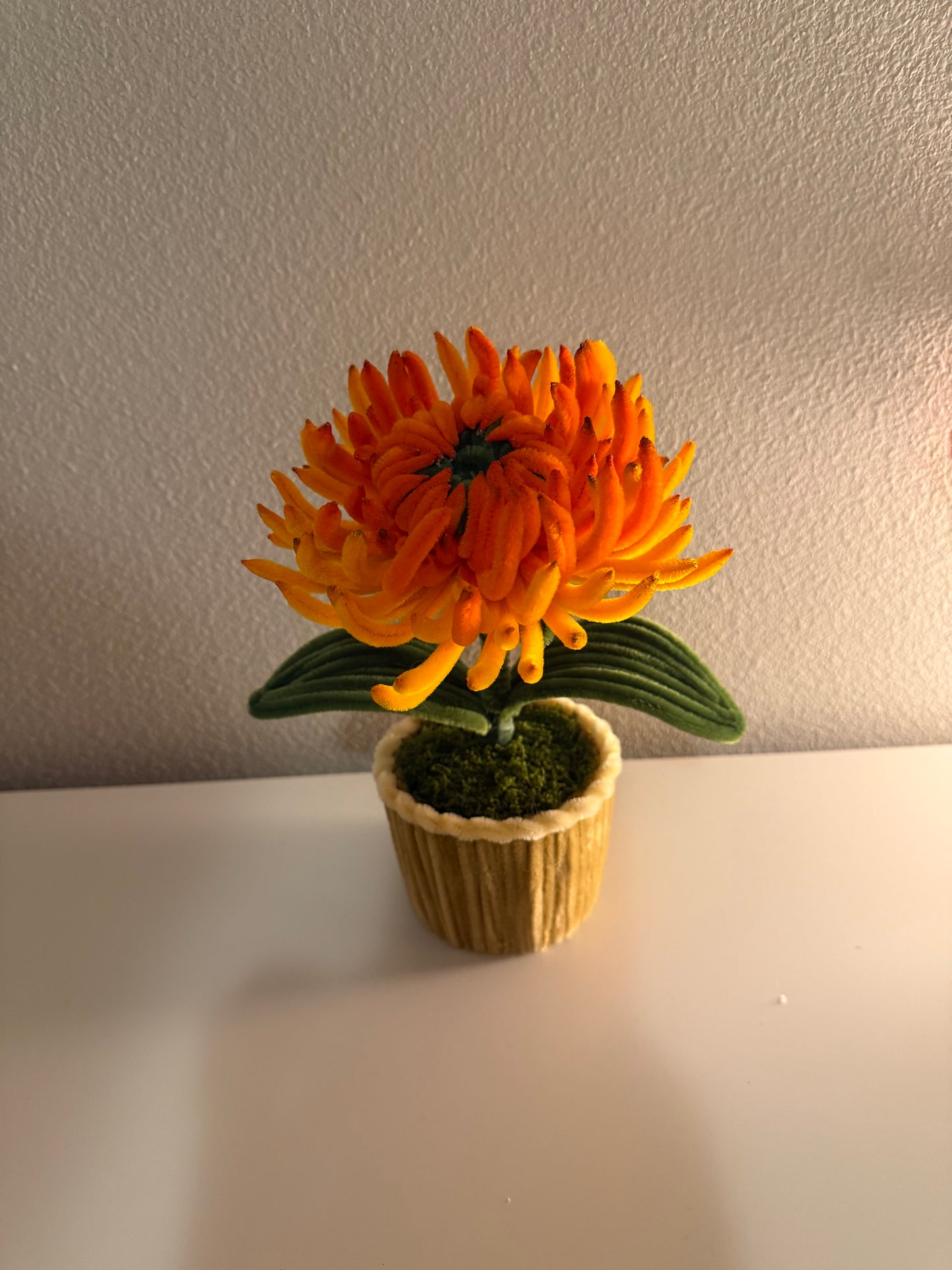 Orange Chrysanthemum Mini Pot