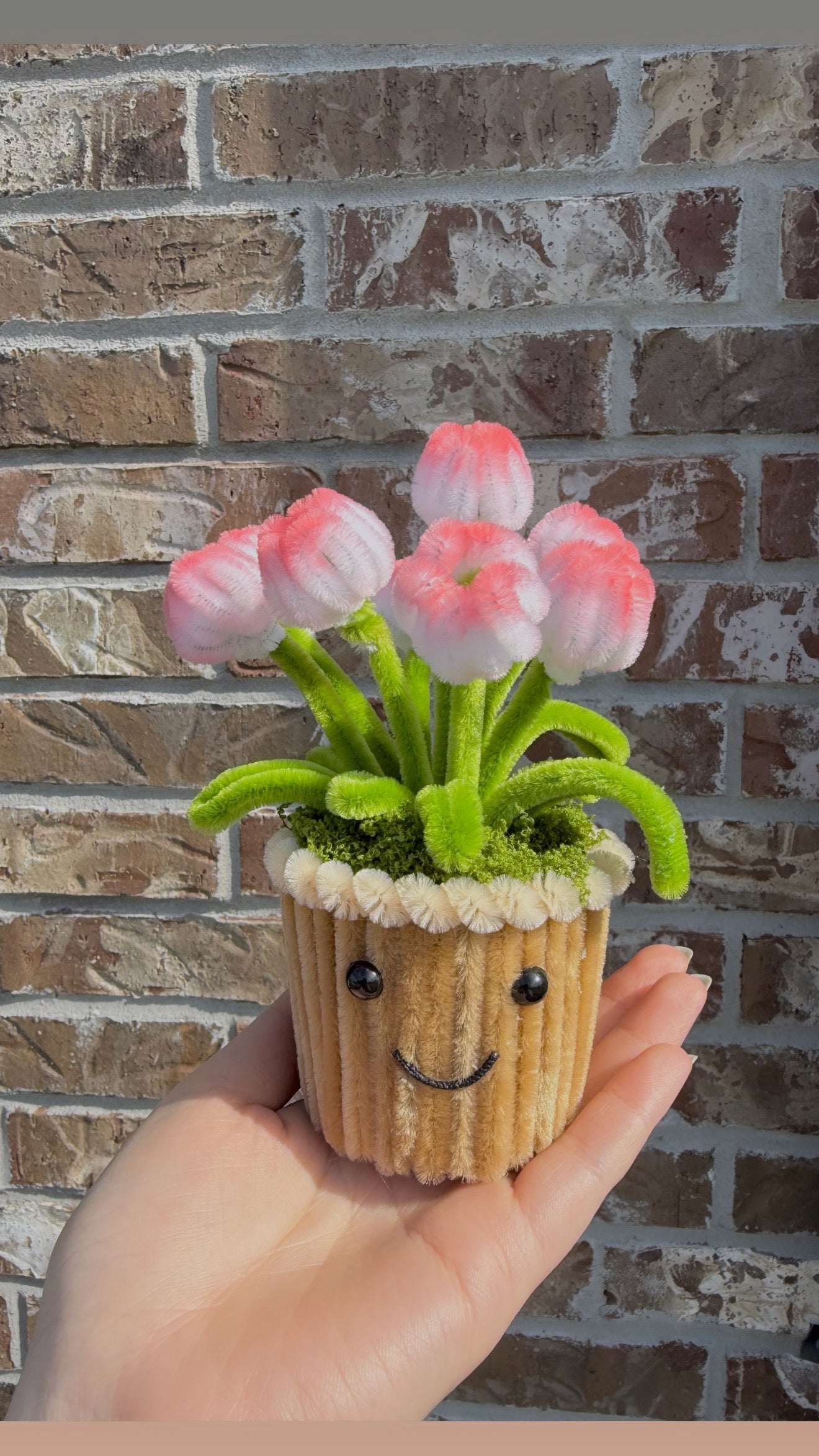 Tulip Mini Pot