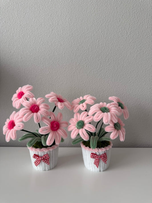 Pink Daisy Mini Pot