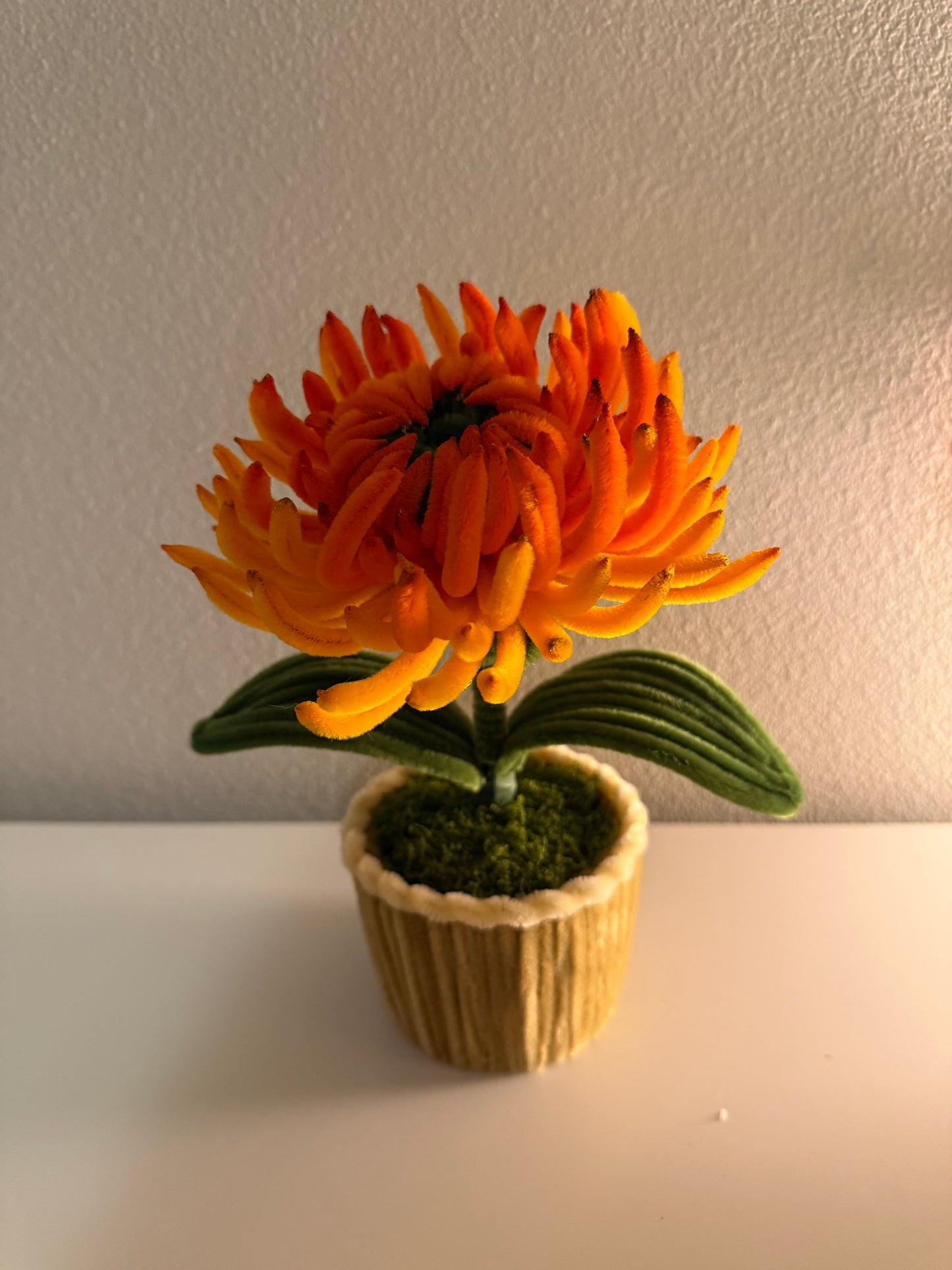 Orange Chrysanthemum Mini Pot